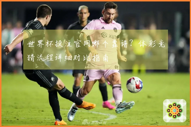 世界杯投注官网哪个靠谱？体彩竞猜流程详细对比指南