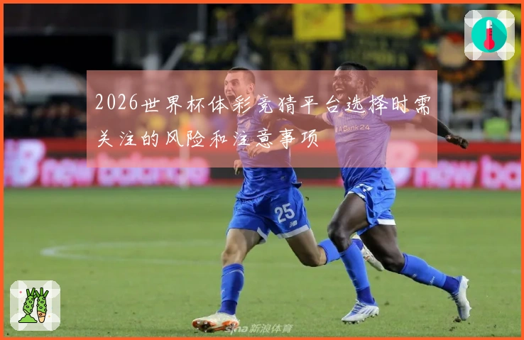 2026世界杯体彩竞猜平台选择时需关注的风险和注意事项