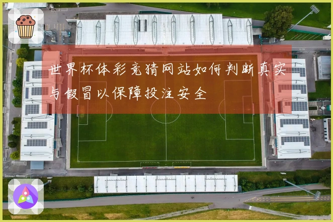 世界杯体彩竞猜网站如何判断真实与假冒以保障投注安全