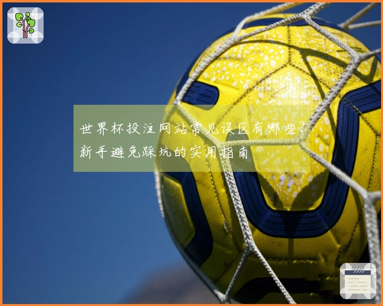 世界杯投注网站常见误区有哪些？新手避免踩坑的实用指南