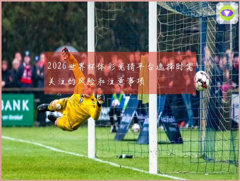 2026世界杯体彩竞猜平台选择时需关注的风险和注意事项