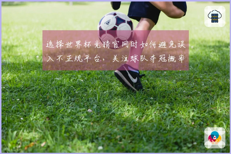 选择世界杯竞猜官网时如何避免误入不正规平台，关注球队夺冠概率的真实判断