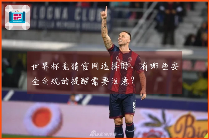 世界杯竞猜官网选择时，有哪些安全合规的提醒需要注意？